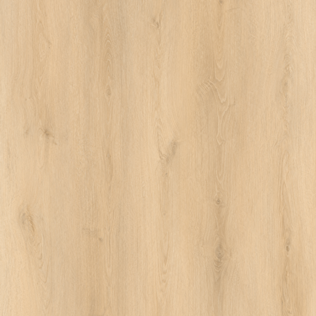 Nordic Beige Oak - 150cm