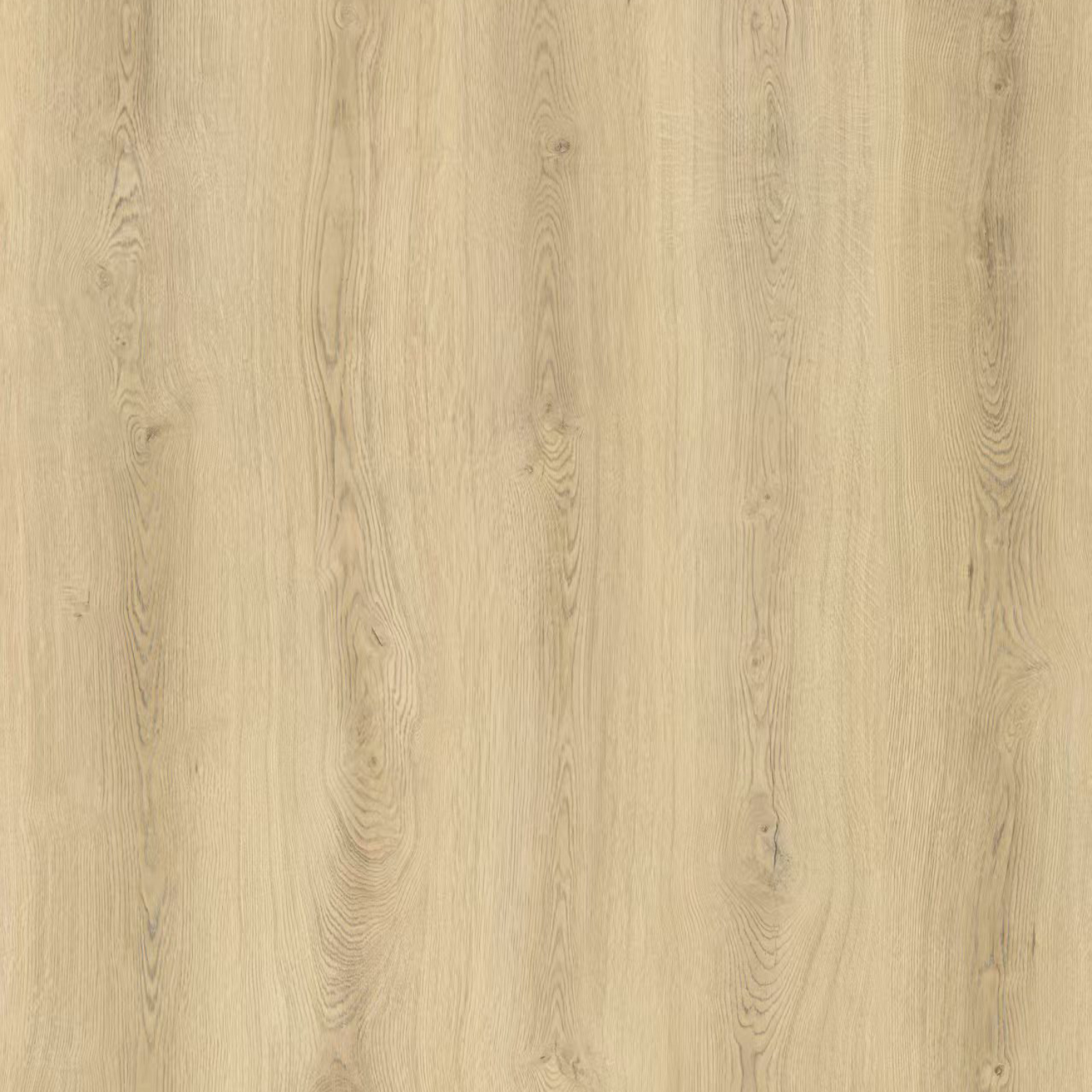 Nordic Golden Oak - 120cm