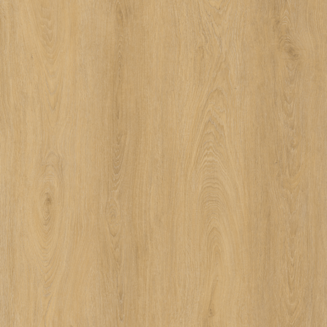 Nordic Honey Oak - 120cm